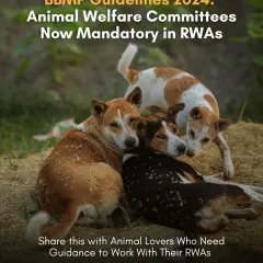 Conflicts with Resident Welfare Associations are a common problem. I help citizens understand and implement BBMP guidelines, which now mandate the formation of Animal Welfare Committees in every RWA.