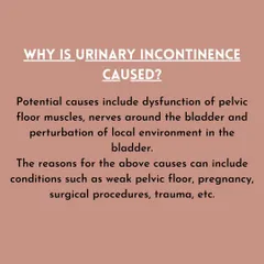 The causes of urinary incontinence often relate to pelvic floor muscle dysfunction, which can result from pregnancy, surgery, or trauma. My approach is to identify and address these underlying root causes.