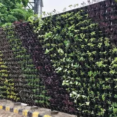 A finished vertical garden project, turning a plain exterior wall into a living, breathing feature. These green walls are perfect for urban areas, adding immense aesthetic value and improving air quality with minimal ground space.