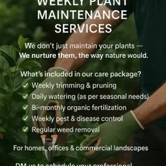 Our weekly plant maintenance service is designed to provide complete, worry-free care for your garden. We handle everything from trimming and pruning to organic fertilization and pest control, ensuring your plants don't just survive, they thrive. This service is available for homes, offices, and commercial spaces.