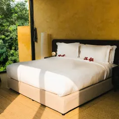 Wake up to sunlight pouring through floor-to-ceiling windows. Our suites are designed as private sanctuaries where you can watch the forest awaken right from the comfort of your bed.