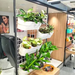 A stylish and modern vertical garden installation in a salon. Using a white grid and matching planters, we created a clean, organized, and lively feature wall that enhances the chic interior.