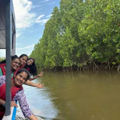Peeking out from a boat during a mangrove tour in Honnavara. This unique backwater experience is a highlight of my Gokarna and coastal itineraries.