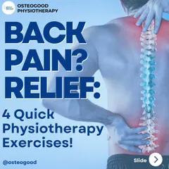 Back pain is one of the most common issues I treat. I believe in empowering you with the right tools, which is why I create easy-to-follow exercise guides to help you find relief and build a stronger, more resilient back at home.