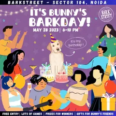 We celebrated our sweet Bunny's ninth birthday with the whole community. These parties are all about free entry, fun games, and lots of gifts for all of Bunny's friends.