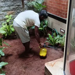 Here we are applying a safe spray to control weeds and pests. We use both organic and chemical methods depending on the situation to protect your plants and keep them healthy.