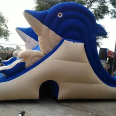 The dolphin water slide, ready for a summer party. This inflatable is perfect for adding a splash to pool parties or just cooling off in the backyard.