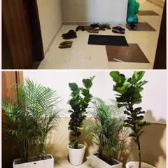This before-and-after shows how I transformed a cluttered apartment lobby into an elegant entrance using Fiddle Leaf Figs and Areca Palms in modern planters.