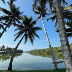 The stunning backdrop for a multi-day wedding event in the backwaters of Kerala. The right location combined with the right music creates a once in a lifetime experience.