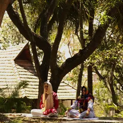 Guests find serenity in meditation under our sacred Neem and Peepal trees. Practicing mindfulness in nature, especially during the auspicious time of Maha Shivaratri, deepens the connection to your inner self and the divine.