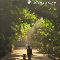 A peaceful morning walk in Bengaluru with my best companion. The tree-lined streets create a beautiful, natural canopy.