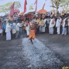 A Soliga tribal priest walking on a bed of hot coals during the 'Roti Habba' at Biligiri Rangana Betta. This ritual of faith is a powerful testament to their connection with nature and their deities.
