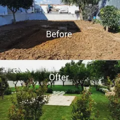 This before and after photo shows the power of a full garden makeover. We took a barren yard and transformed it with a lush green lawn, mature trees, and a stone walkway, creating a beautiful and usable outdoor space.