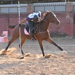 This is the power and precision of tent pegging. Our rider Yashveer Hooda and his horse Shakira show perfect form during their Gold medal winning performance at the Chandigarh Horse Show. We provide expert coaching in this thrilling equestrian sport.
