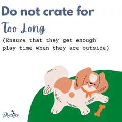 Do not leave your puppy in the crate for too long, especially when they are young. Always ensure they get plenty of playtime and potty breaks when they are out.