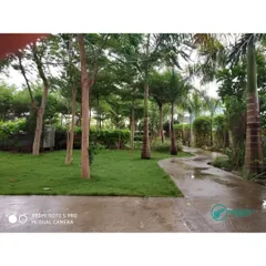 This angle highlights the winding pathway we designed through the podium garden, flanked by mature trees and a lush lawn. It feels like a ground-level park.