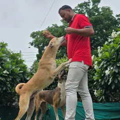 Playtime is serious business. Engaging one-on-one with dogs helps me understand their personality and energy levels.