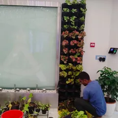 Here you can see one of our team members carefully installing a modular vertical garden system. We handle the entire process, from selecting the right plants for the light conditions to ensuring the structure and irrigation are set up for long-term success.