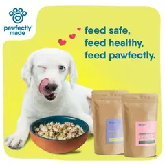 Feed safe, feed healthy, feed pawfectly. A happy dog enjoying a bowl of our fresh, nutritious food is the best endorsement we could ask for.