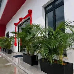 A row of Areca Palms in sleek black rectangular planters creates a formal and welcoming entrance for this corporate building. This type of plantscaping adds a touch of tropical elegance and sophistication.