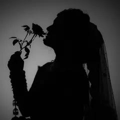 A simple yet elegant silhouette of the bride. This black and white photograph creates a timeless and classic feel, focusing on her form and the delicate way she holds the rose.