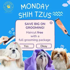 To all the Shih Tzu parents, Mondays are for you. Bring your little one in for a full grooming package and get their haircut for free. It's a great way to start the week.