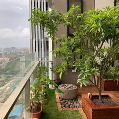 This is a high-rise balcony garden I designed, proving that you can have a green oasis anywhere in the city. You can see how a beautiful tree, a patch of green lawn, and a rustic stone water feature come together to transform this urban space.