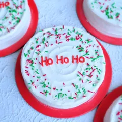 A mini Christmas cake with "Ho Ho Ho" piped in red and festive sprinkles. These make great gifts or individual desserts.