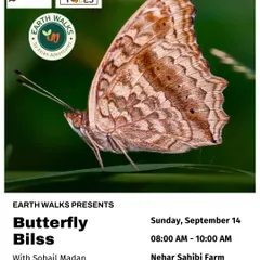 The intricate patterns of a Grey Pansy butterfly are showcased in this poster for our "Butterfly Bliss" walk. We guide you through Nehar Sahibi Farm to find and identify these masters of camouflage.