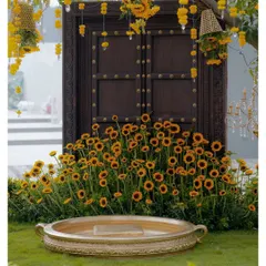 The stunning Haldi ceremony setup, featuring a traditional wooden door, a field of sunflowers, and a brass vessel, all ready for the celebration.