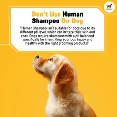 Your shampoo is for you, not your dog, yaar. Human shampoos have the wrong pH level and can irritate your pet's skin, so we created formulas specifically balanced for their needs.