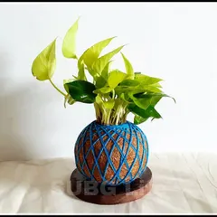 This is my Designer Kokedama featuring a Neon Pothos, also known as a Money Plant. It sits on a simple wooden base, making it a complete, ready to display decor piece. It's a perfect example of a beautiful, potless, and mess free indoor plant.