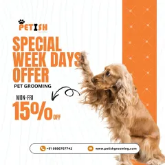 Plan a mid-week treat for your pet with my special weekday offer. Get 15% off on all grooming services from Monday to Friday.