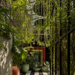 A pathway in the Sunrise restaurant, where hanging plants and mesh screens create a layered, jungle-like effect. This corridor is designed to be an experience, not just a passage.