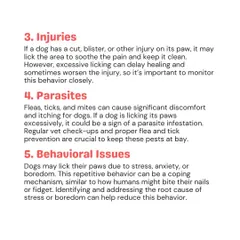 Besides allergies, excessive paw licking can be caused by injuries, parasites like fleas and ticks, or behavioral issues like stress and anxiety. Identifying the root cause is key to addressing it.