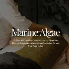 Crafted with the finest marine extracts, our Marine Algae pack is a potent blend designed to rejuvenate and revitalize the skin from head to toe. It's a full reset powered by the sea.