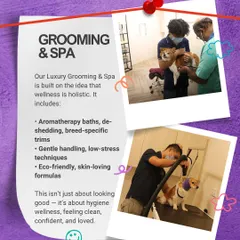 This graphic explains our approach to Grooming & Spa. It's built on the idea that wellness is holistic, including aromatherapy baths, gentle handling, and eco-friendly formulas. It's about hygiene, confidence, and feeling loved.
