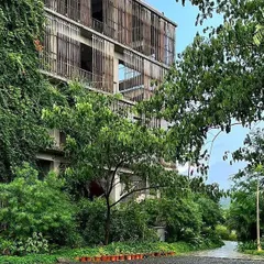 This is the Avasara Academy campus after a few monsoon seasons. It is wonderful to see how the native plants have matured, creating a dense, green sanctuary that envelops the architecture and provides a rich learning environment for the students.