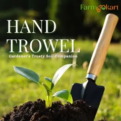 My hand trowel is a trusty companion for working with soil. This one is designed with a sturdy wooden handle and a durable metal head, perfect for planting a new seedling.