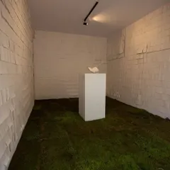 An art installation transforming our studio into an immersive experience with grass-covered floors and paper-lined walls. The space is a blank canvas, perfect for artists who want to create unique, thought-provoking exhibitions and installations.