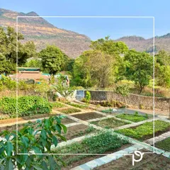 Imagine plucking organic food straight from your own yard. We practice 'foodscaping', where we beautifully integrate edible kitchen gardens and orchards into your landscape design, proving that functional can also be beautiful.
