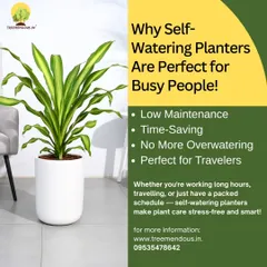 Designed for modern life. Our self-watering planters are the perfect solution for busy professionals, frequent travelers, or anyone who wants the beauty of plants without the daily chore of watering.