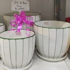 A set of three new arrival ceramic pots with a simple green striped design. These pots come with matching saucers and are available in multiple sizes for a coordinated look.