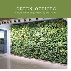 As offices reopen, we help companies create healthier and more inviting workspaces. This lush indoor vertical garden is a perfect example of how we make offices greener to boost employee wellbeing and productivity.