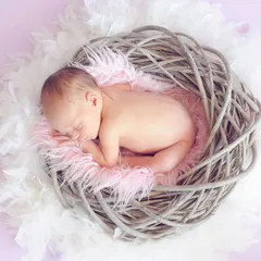 There is nothing more peaceful than a sleeping newborn. For this studio newborn session, I used a soft, nest-like prop to create a safe and cozy environment, allowing me to capture this baby's serene expression and delicate features.