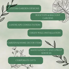 Wondering what we can do for you? This graphic breaks down our core services. From custom designs for rooftops and balconies to ongoing maintenance and even green corporate gifting, we offer a complete solution to bring more zen into your life.