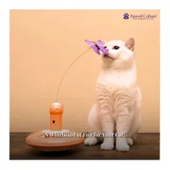 The NALA Butterfly Teazer is a whirlwind of fun for your cat. This image shows a cat captivated by the fluttering butterfly, a toy designed to engage their natural pouncing and hunting instincts.