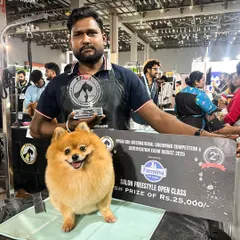 Here is one of our expert groomers with a perfectly styled Pomeranian after winning 2nd place in the Salon Freestyle Open Class. This is the level of award-winning skill and precision we bring to every grooming session.