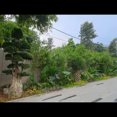 We use a variety of plants, trees, and shrubs to create a lush, multi-layered landscape. This approach provides privacy, adds natural beauty, and softens the hard lines of the modern architecture.