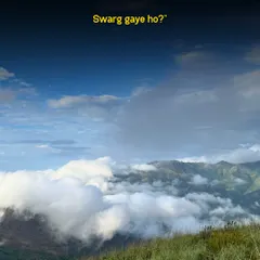 Sometimes you just need to see a view that makes you forget everything else. This is from our off-beat Kodaikanal trip, far from the crowds. We believe waking up to a view like this is better than any alarm clock.